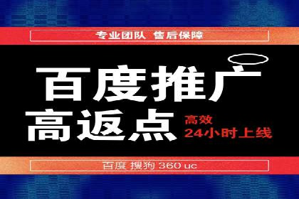 百度竞价托管公司案例分析：打造行业领军企业